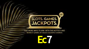 Interface Premium Ec7